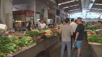 南部重拳出擊 嚴查食品藥品商家，15起食用農(nóng)產(chǎn)品批發(fā)案件移交公安機關(guān)